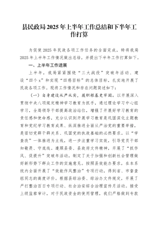 县民政局2025年上半年工作总结和下半年工作打算
