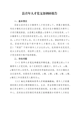 县青年人才党支部调研报告