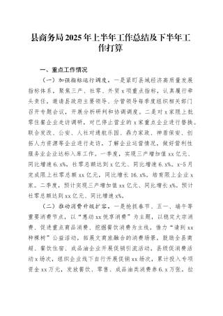 县商务局2025年上半年工作总结及下半年工作打算