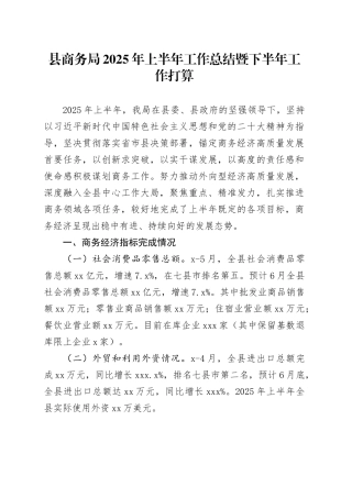 县商务局2025年上半年工作总结暨下半年工作打算