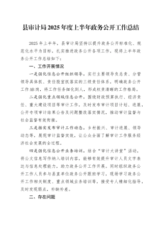 县审计局2025年度上半年政务公开工作总结