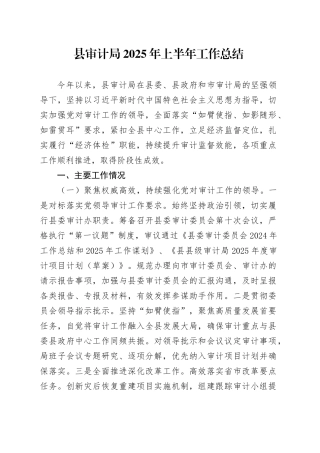 县审计局2025年上半年工作总结