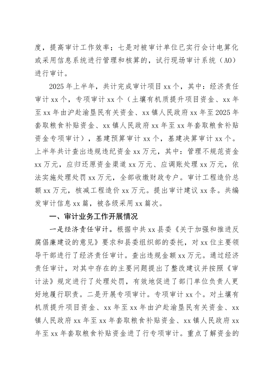 县审计局2025年上半年工作总结和下半年工作打算_第2页
