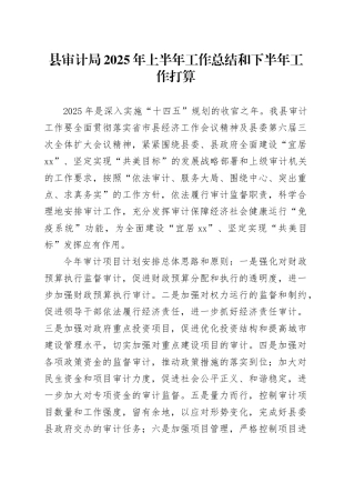 县审计局2025年上半年工作总结和下半年工作打算