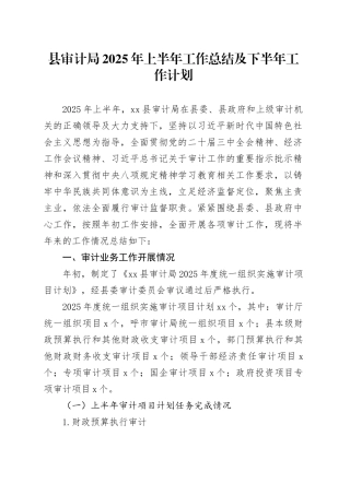 县审计局2025年上半年工作总结及下半年工作计划