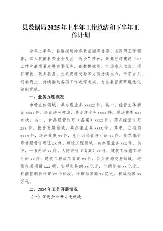 县数据局2025年上半年工作总结和下半年工作计划