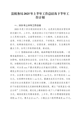 县税务局2025年上半年工作总结及下半年工作计划