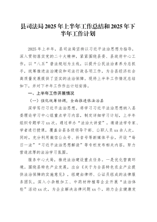 县司法局2025年上半年工作总结和2025年下半年工作计划