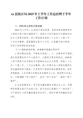 县统计局2025年上半年工作总结暨下半年工作计划