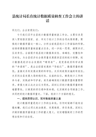 县统计局长在统计数据质量核查工作会上的讲话