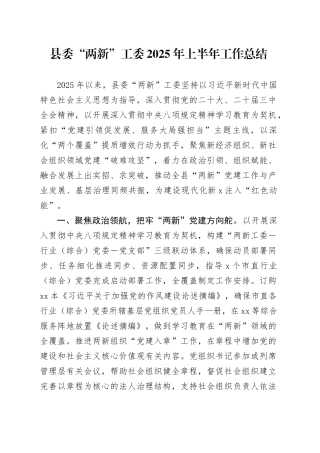 县委“两新”工委2025年上半年工作总结