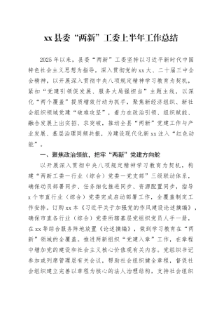 县委“两新”工委上半年工作总结