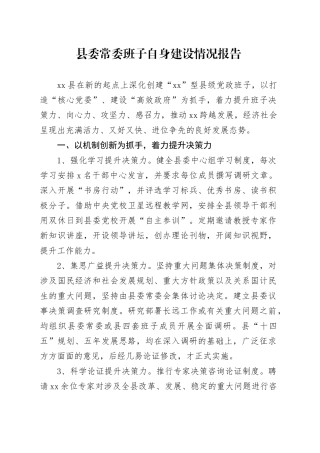 县委常委班子自身建设情况报告