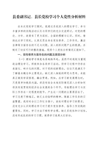县委副书记、县长党校学习个人党性分析材料