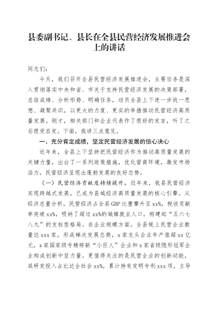 县委副书记、县长在全县民营经济发展推进会上的讲话
