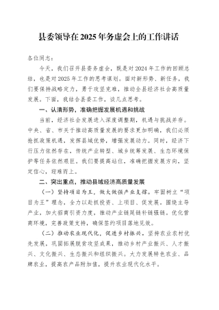 县委领导在2025年务虚会上的工作讲话