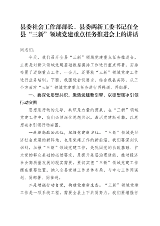 县委社会工作部部长、县委两新工委书记在全县“三新”领域党建重点任务推进会上的讲话