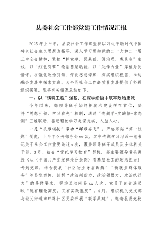 县委社会工作部党建工作情况汇报