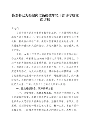县委书记为关键岗位新提拔年轻干部讲专题党课讲稿