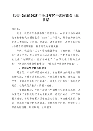 县委书记在2025年全县年轻干部座谈会上的讲话