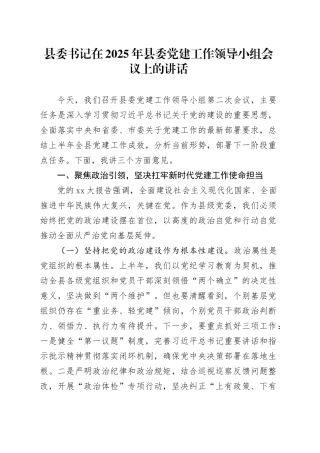县委书记在2025年县委党建工作领导小组会议上的讲话