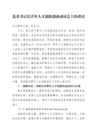 县委书记在青年人才创新创业动员会上的讲话