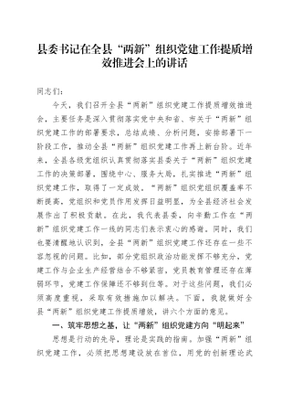县委书记在全县“两新”组织党建工作提质增效推进会上的讲话
