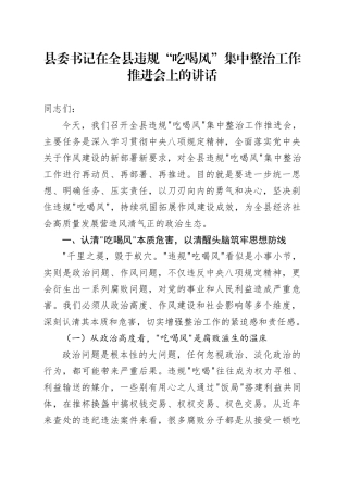 县委书记在全县违规“吃喝风”集中整治工作推进会上的讲话20250723