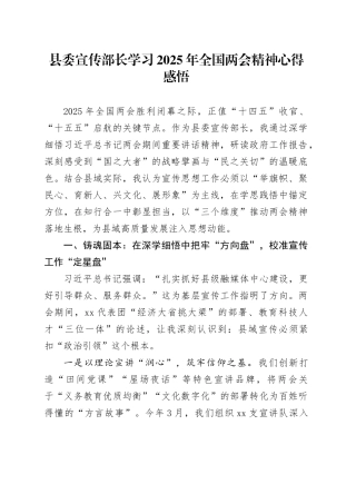 县委宣传部长学习2025年全国两会精神心得感悟