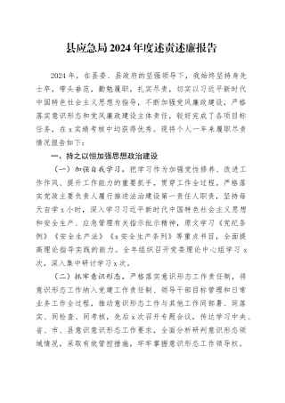 县应急局2024年度述责述廉报告