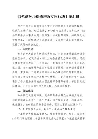 县营商环境提质增效专项行动工作汇报
