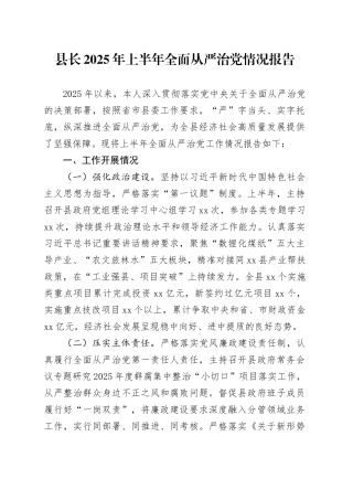 县长2025年上半年全面从严治党情况报告