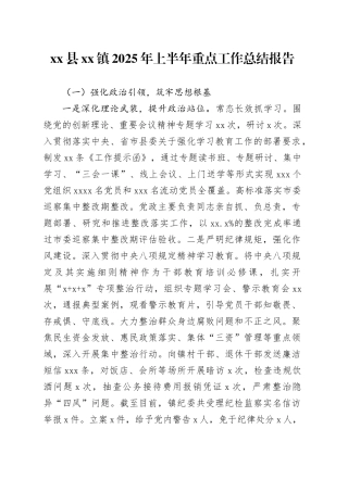 县镇2025年上半年重点工作总结报告