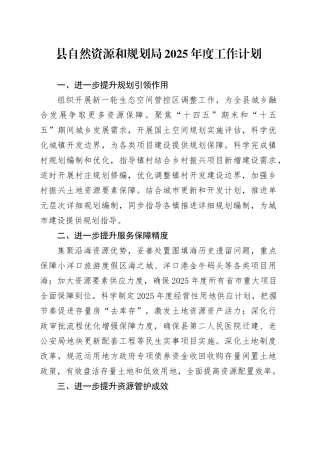 县自然资源和规划局2025年度工作计划