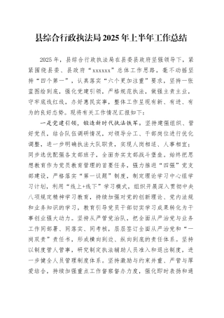 县综合行政执法局2025年上半年工作总结
