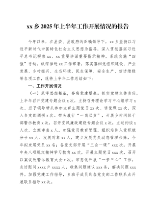 乡2025年上半年工作开展情况的报告