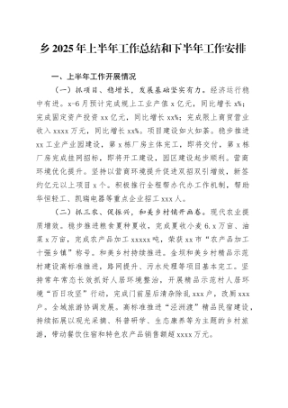 乡2025年上半年工作总结和下半年工作安排