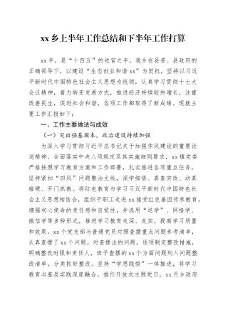 乡上半年工作总结和下半年工作打算