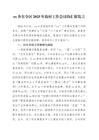 乡在全区2025年农村工作会议的汇报发言