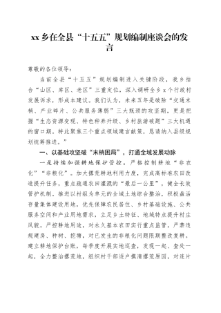 乡在全县“十五五”规划编制座谈会的发言