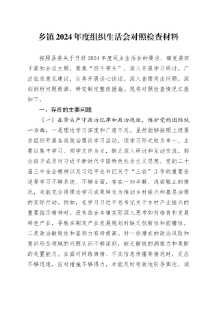 乡镇街道2024年度组织生活会对照检查材料
