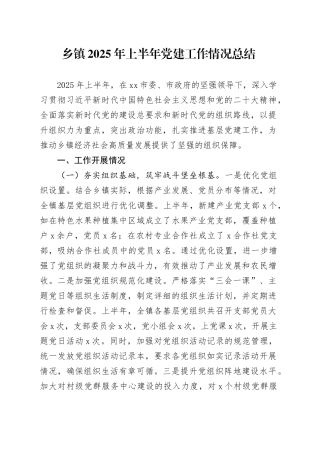 乡镇街道2025年上半年党建工作情况总结20250725