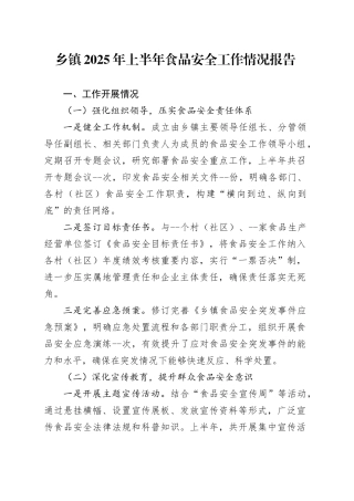 乡镇街道2025年上半年食品安全工作情况报告