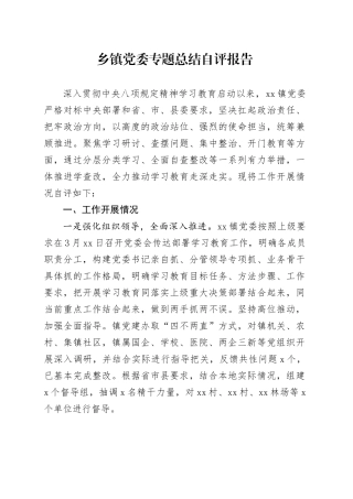 乡镇街道党委专题总结自评报告