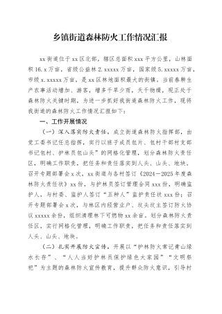 乡镇街道森林防火工作情况汇报