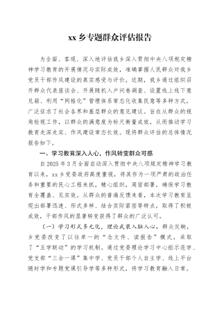 乡专题群众评估报告