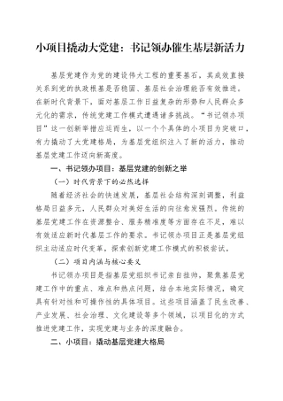 小项目撬动大党建：书记领办催生基层新活力
