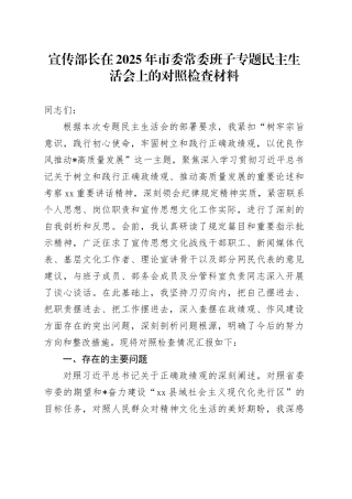 宣传部长在2025年市委常委班子专题民主生活会上的对照检查材料