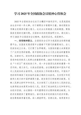 学习2025年全国政协会议精神心得体会 （3）