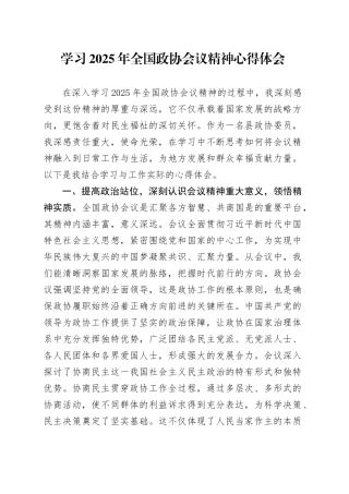 学习2025年全国政协会议精神心得体会（4）